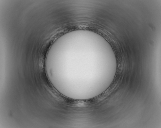 X0000113310710200909141006