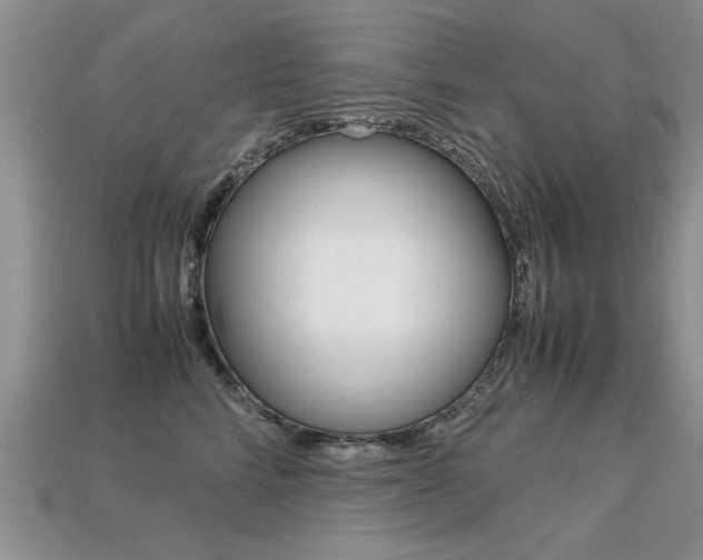 X0000113310712200909141006