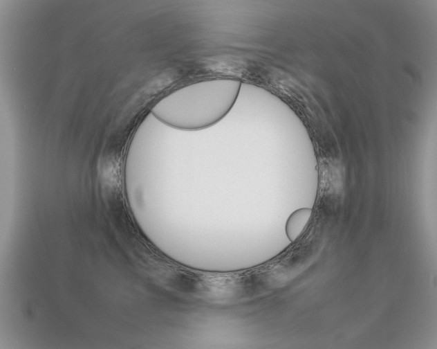 X0000113310713200909141006