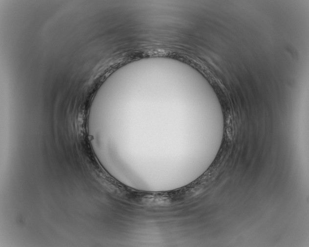 X0000113310714200909141006