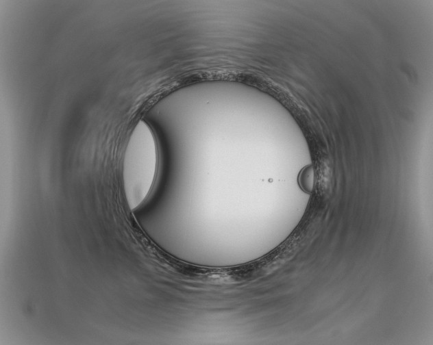 X0000113310715200909141006