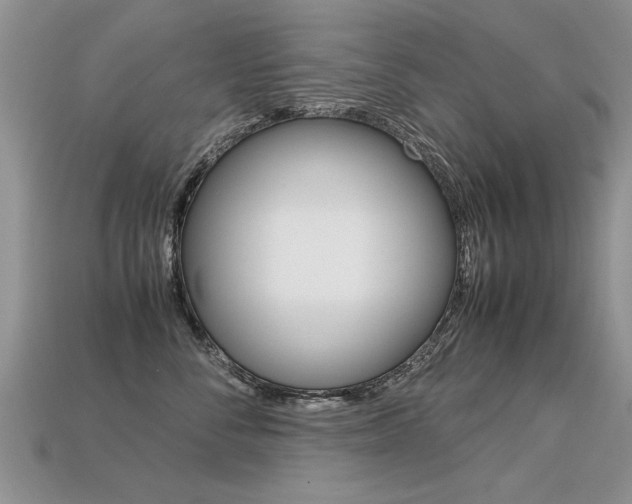 X0000113310716200909141006