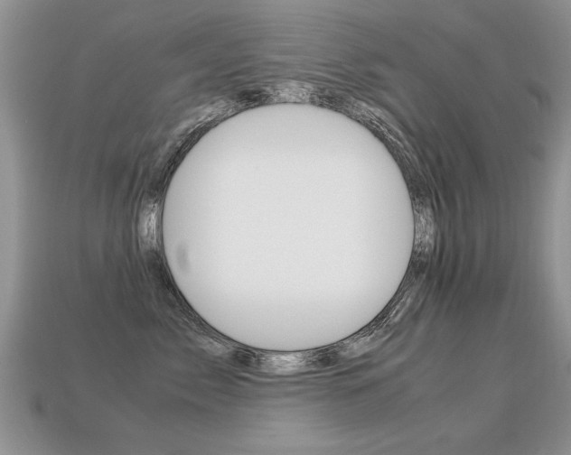 X0000113310717200909141006