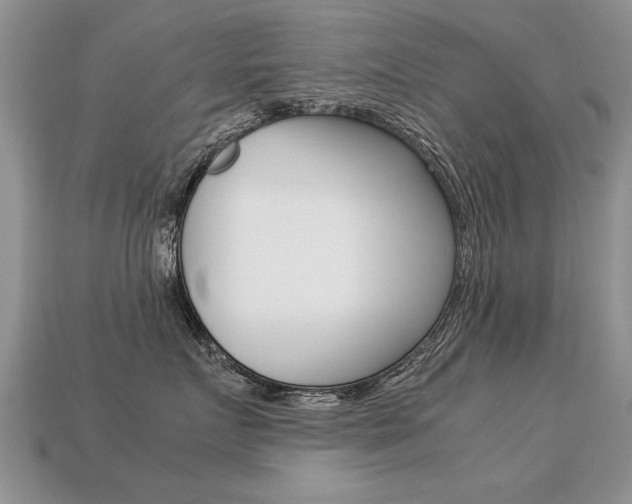 X0000113310719200909141006
