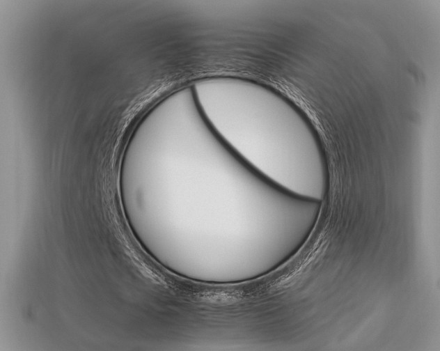 X0000113310721200909141005