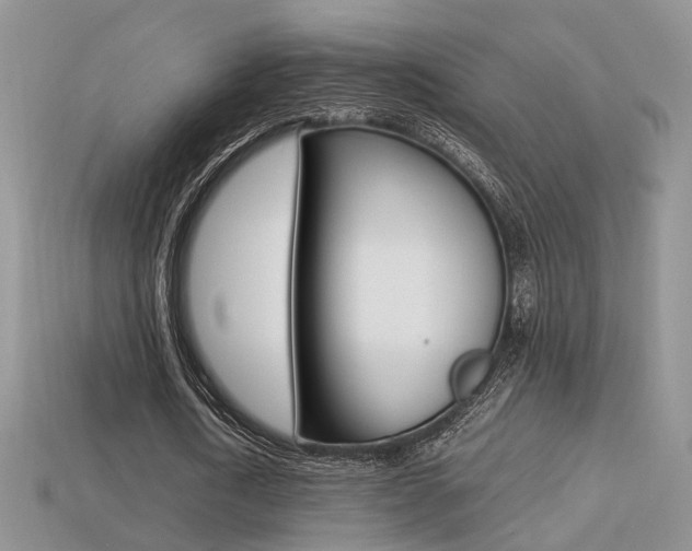 X0000113310722200909141005