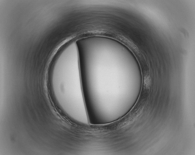 X0000113310724200909141005