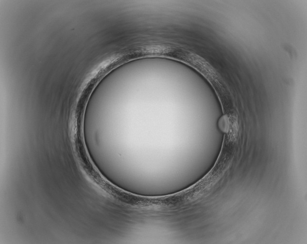X0000113310726200909141005