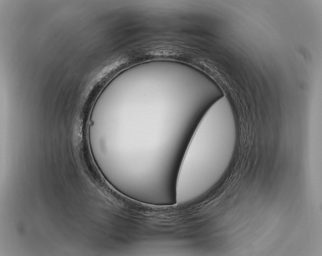 X0000113310727200909141005