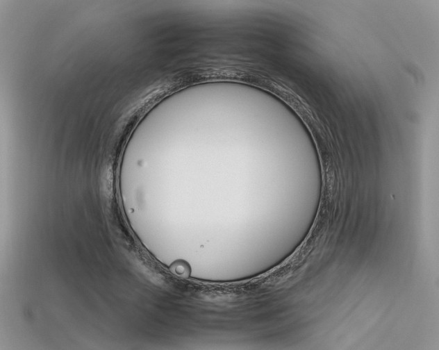 X0000113310729200909141005