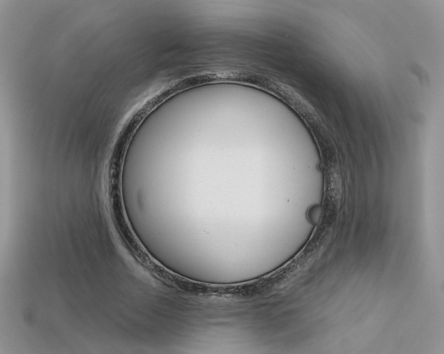 X0000113310730200909141005