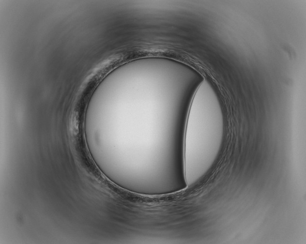X0000113310731200909141005