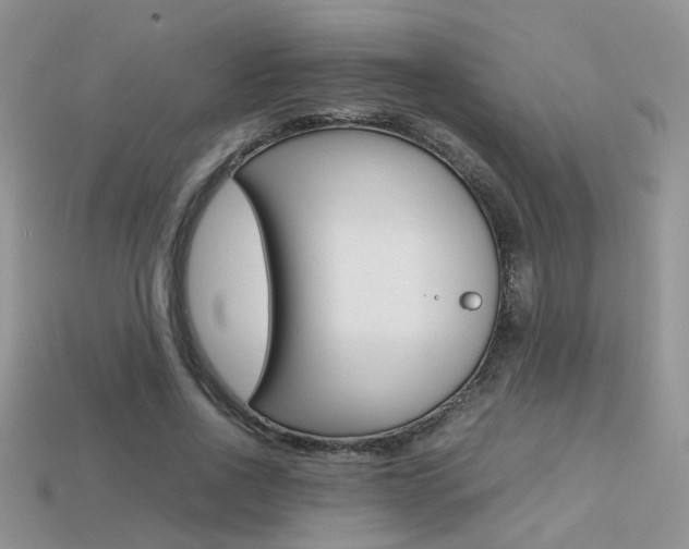 X0000113310734200909141005