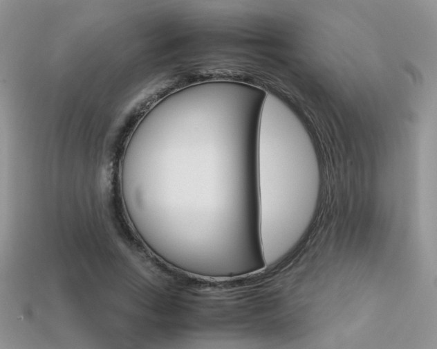 X0000113310735200909141005