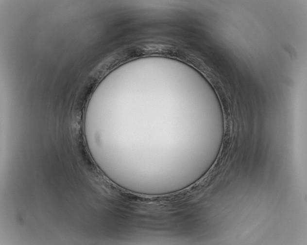 X0000113310737200909141005