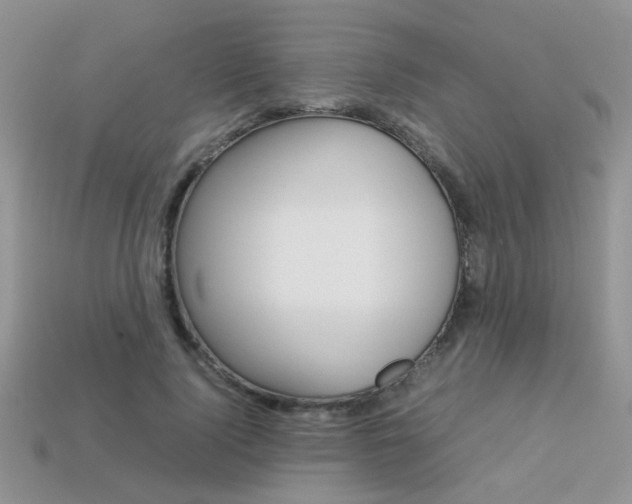 X0000113310740200909141005