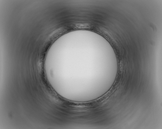 X0000113310741200909141005