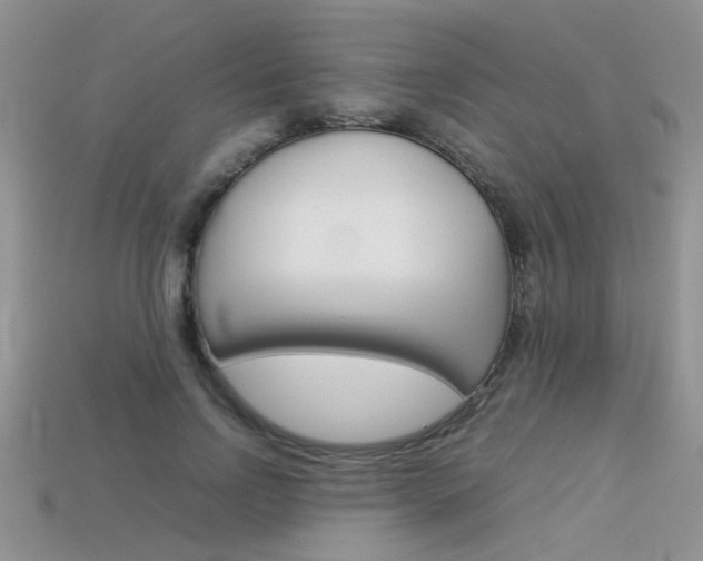 X0000113310742200909141005