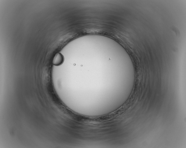 X0000113310743200909141005