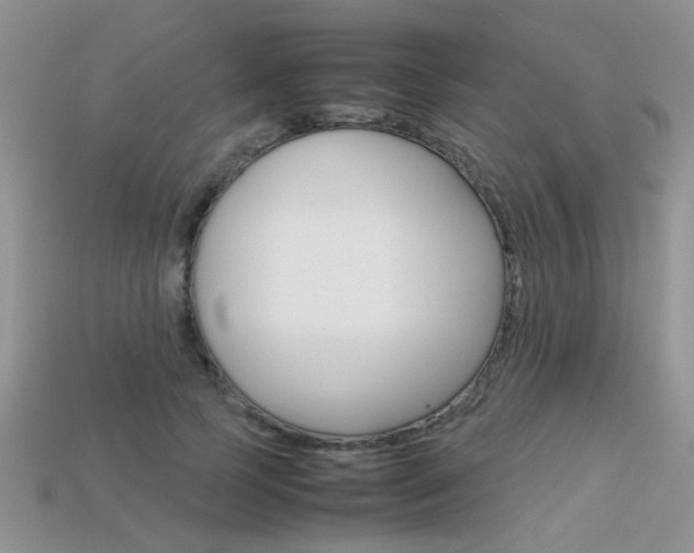 X0000113310745200909141006