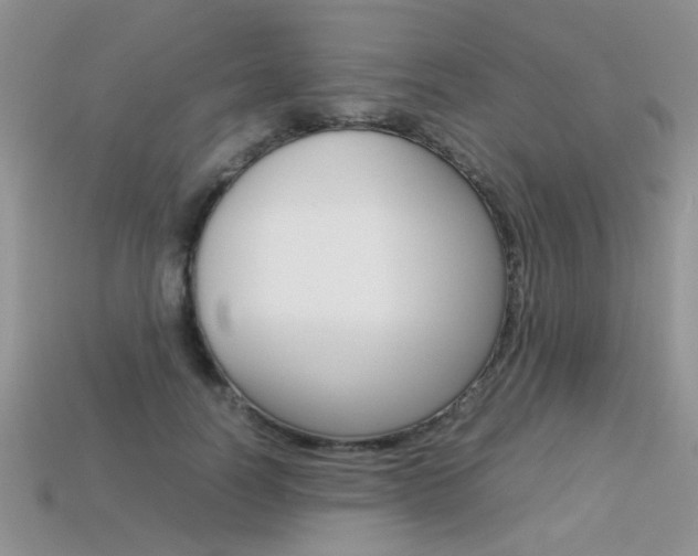 X0000113310746200909141006
