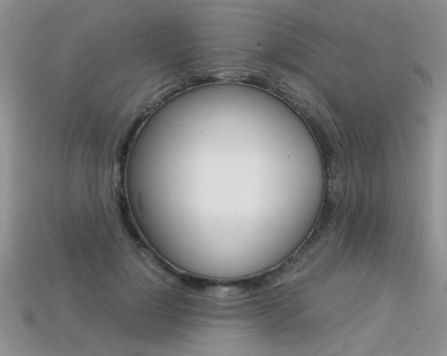 X0000113310748200909141006