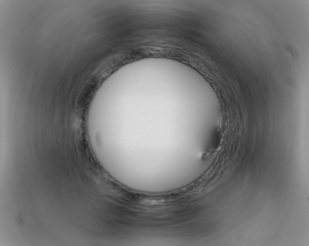 X0000113310749200909141006