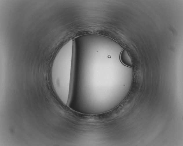 X0000113310750200909141006