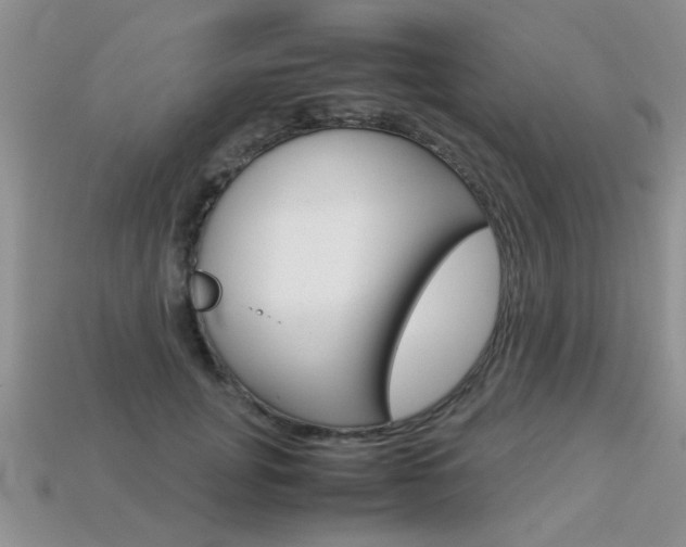 X0000113310751200909141006