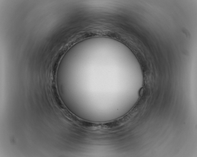 X0000113310752200909141006