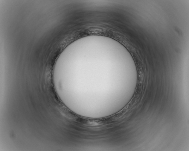 X0000113310753200909141006