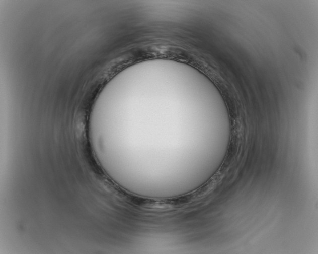 X0000113310754200909141006