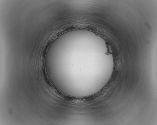 X0000113310756200909141006