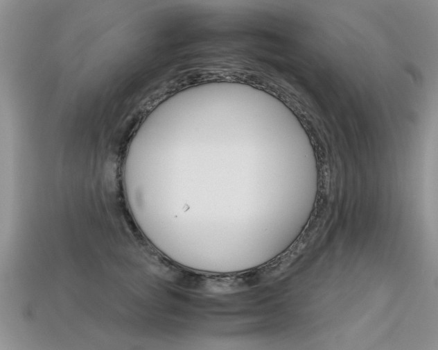 X0000113310757200909141006