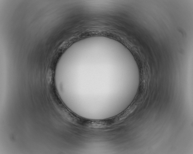 X0000113310758200909141006