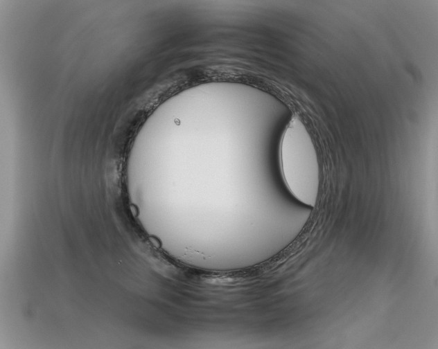 X0000113310759200909141006