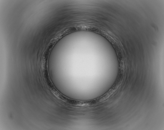 X0000113310760200909141006