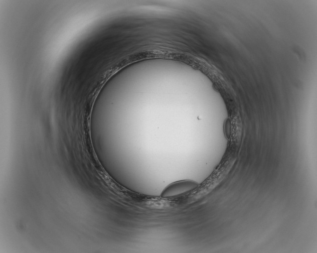 X0000113310762200909141006