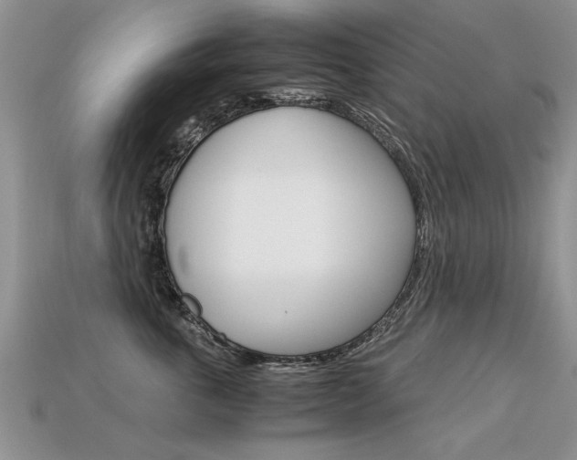 X0000113310763200909141006