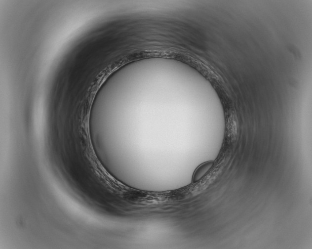 X0000113310764200909141006