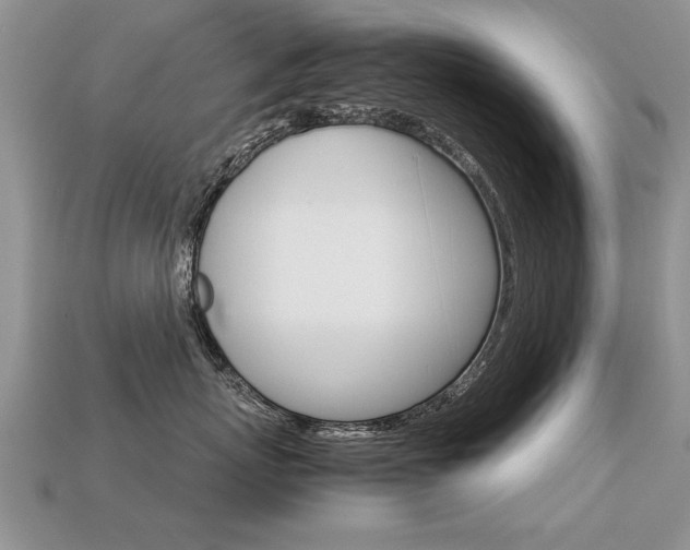 X0000113310767200909141006