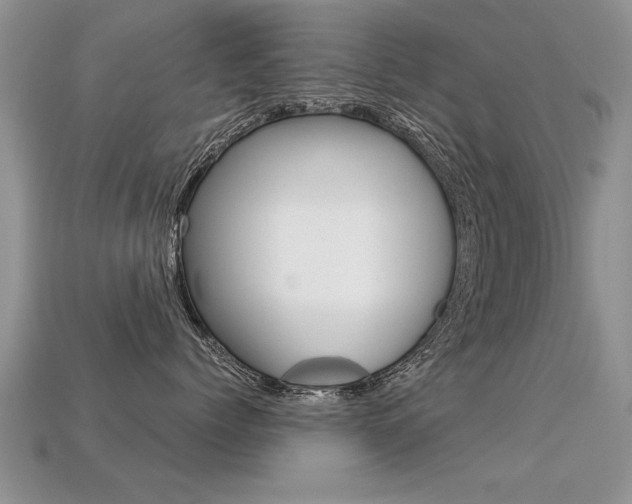 X0000113310768200909141006