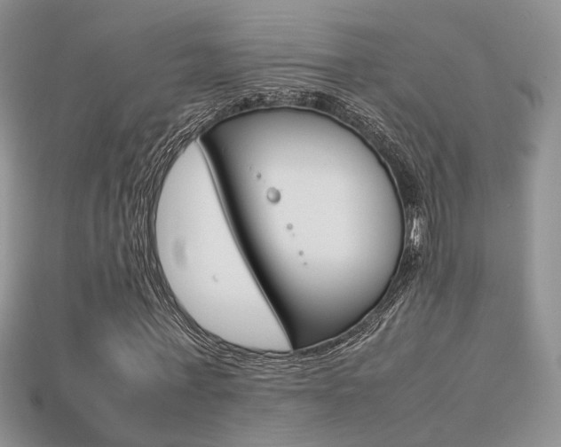 X0000113310771200909141005