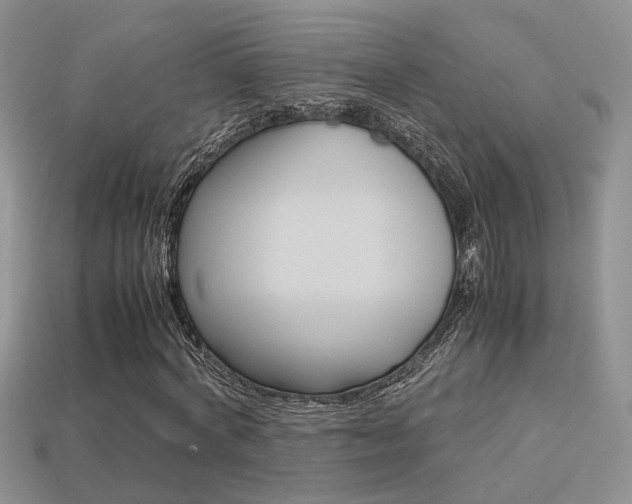 X0000113310772200909141005