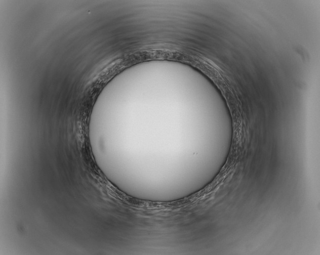 X0000113310774200909141005