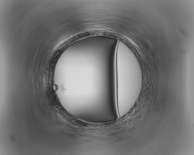 X0000113310775200909141005