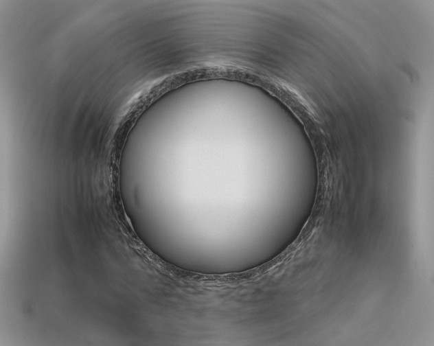 X0000113310776200909141005