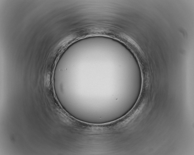 X0000113310777200909141005