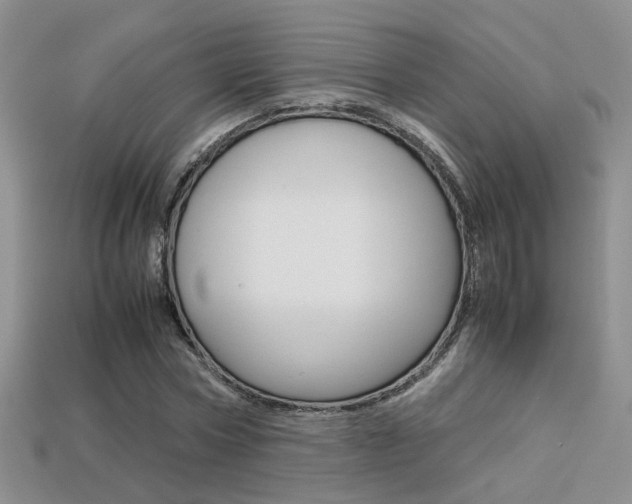 X0000113310778200909141005