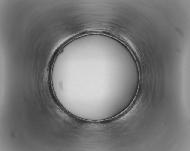 X0000113310779200909141005